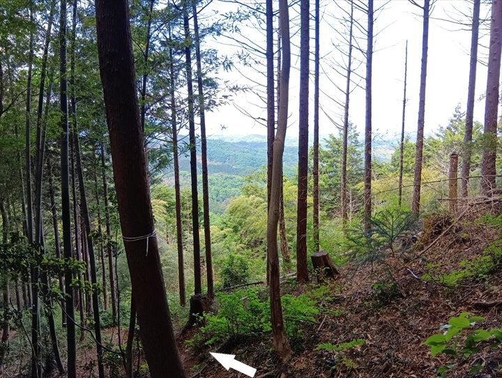 石尊山～臼入山(天ノ峰～臼入山)
