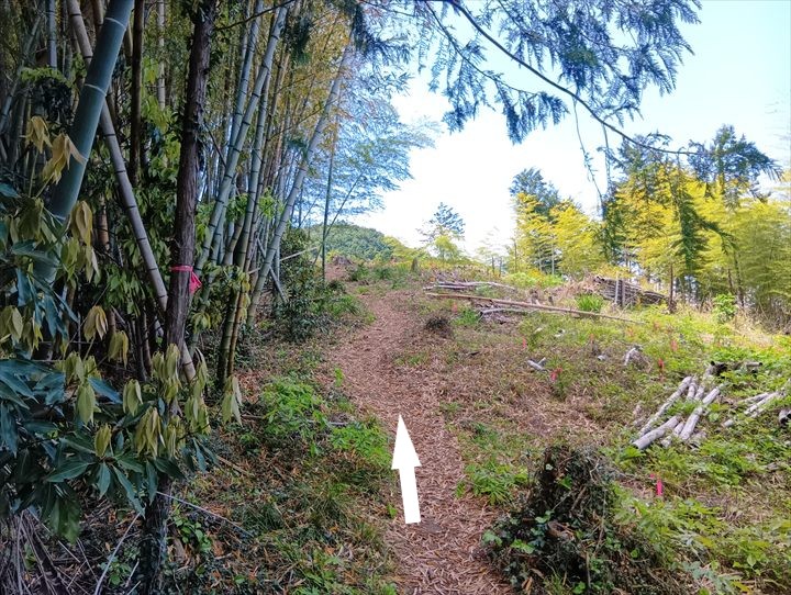 石尊山～臼入山(天ノ峰～臼入山)