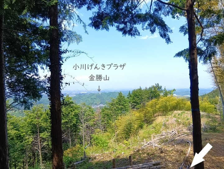 石尊山～臼入山(天ノ峰～臼入山)