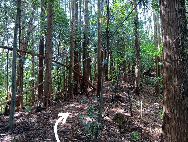 石尊山～臼入山(天ノ峰～臼入山)