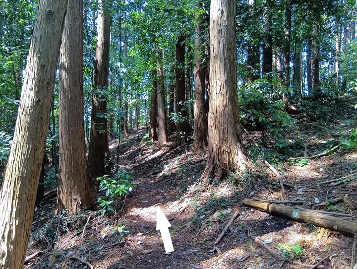 石尊山～臼入山(天ノ峰～臼入山)