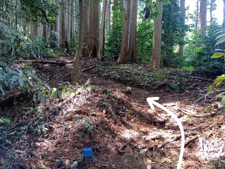 石尊山～臼入山(天ノ峰～臼入山)