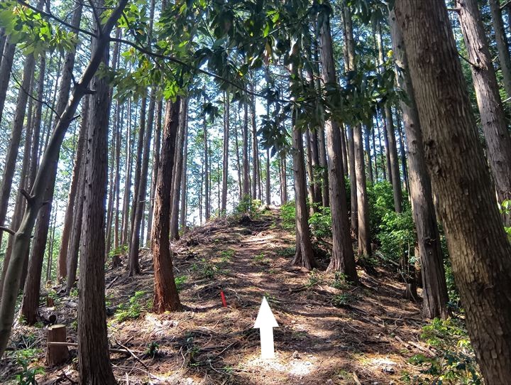 石尊山～臼入山(天ノ峰～臼入山)