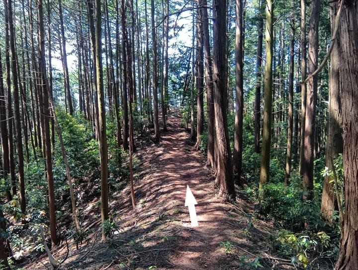 石尊山～臼入山(天ノ峰～臼入山)