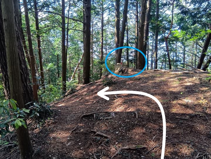石尊山～臼入山(天ノ峰～臼入山)