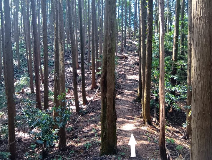 石尊山～臼入山(天ノ峰～臼入山)