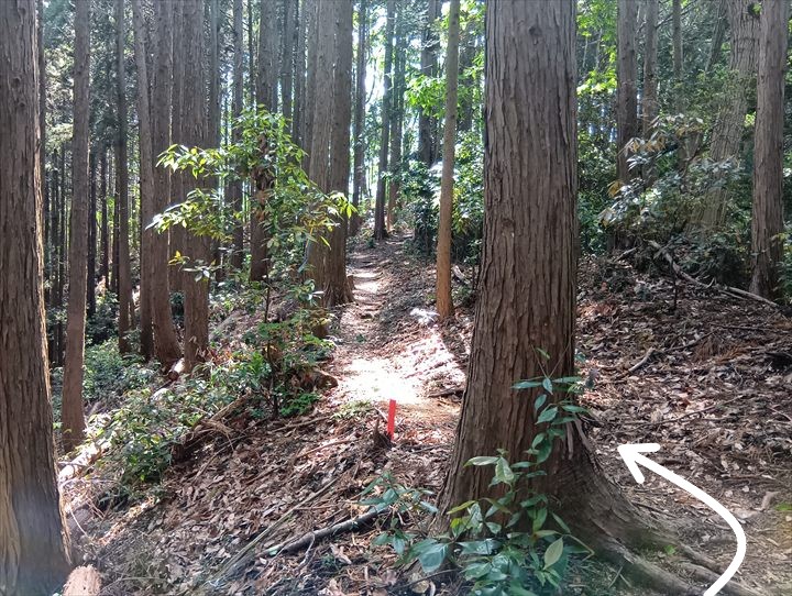 石尊山～臼入山(天ノ峰～臼入山)