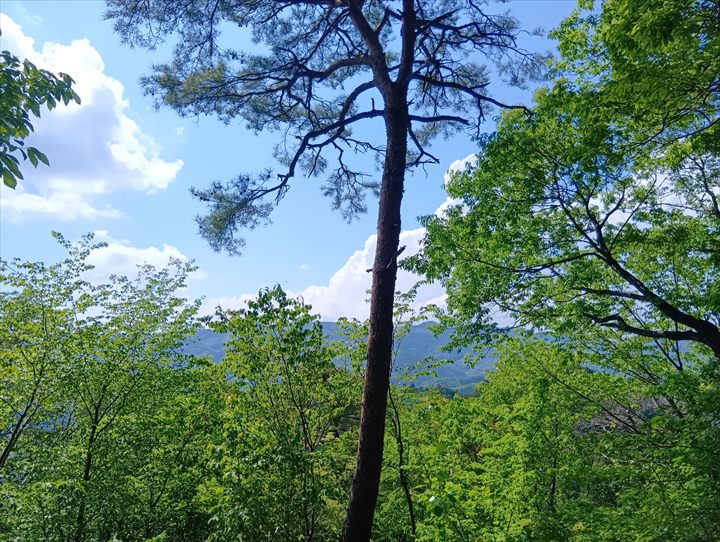 石尊山～臼入山(天ノ峰～臼入山)