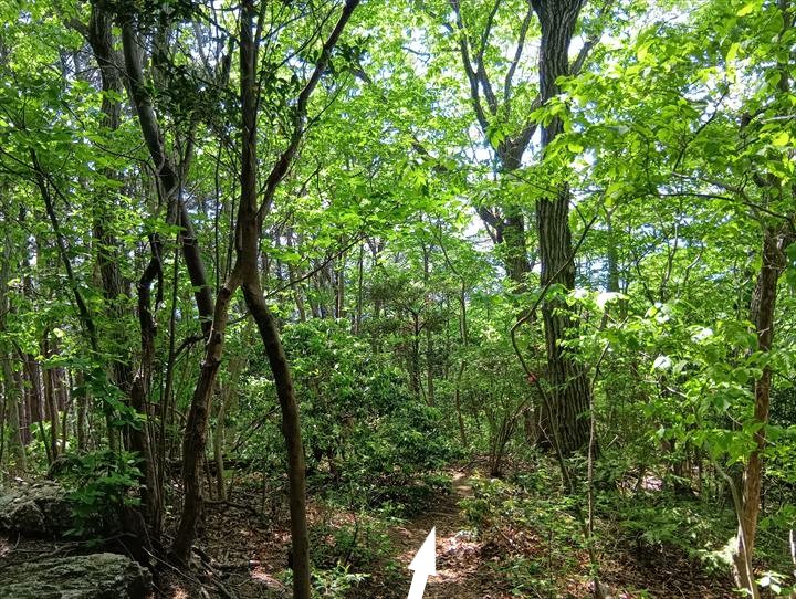 臼入山～道の駅ひがしちちぶ