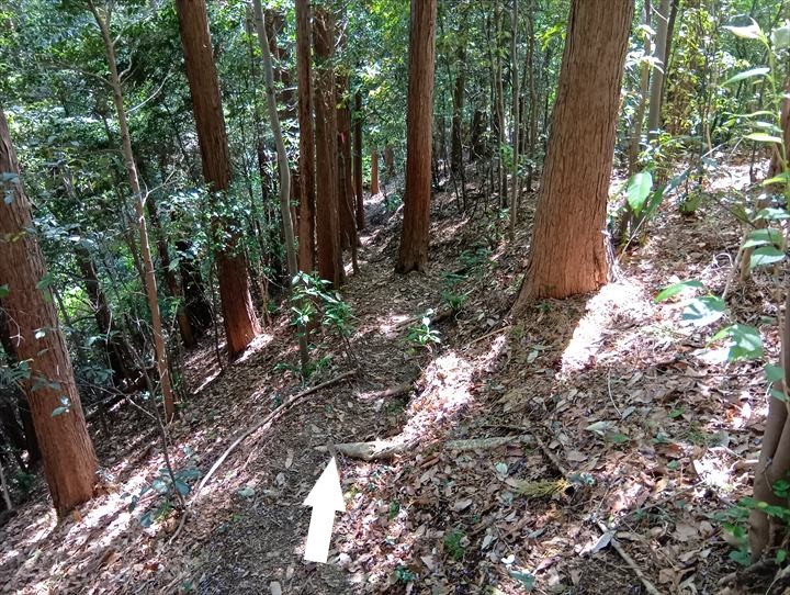 臼入山～道の駅ひがしちちぶ
