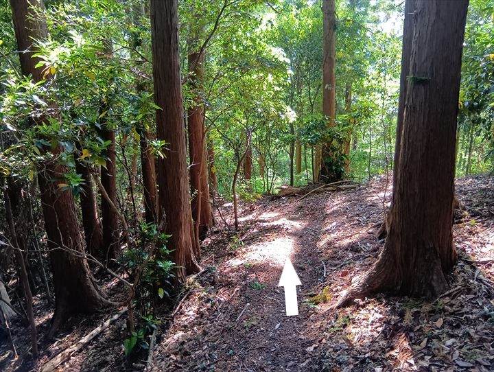 臼入山～道の駅ひがしちちぶ