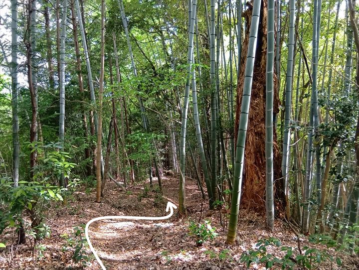臼入山～道の駅ひがしちちぶ
