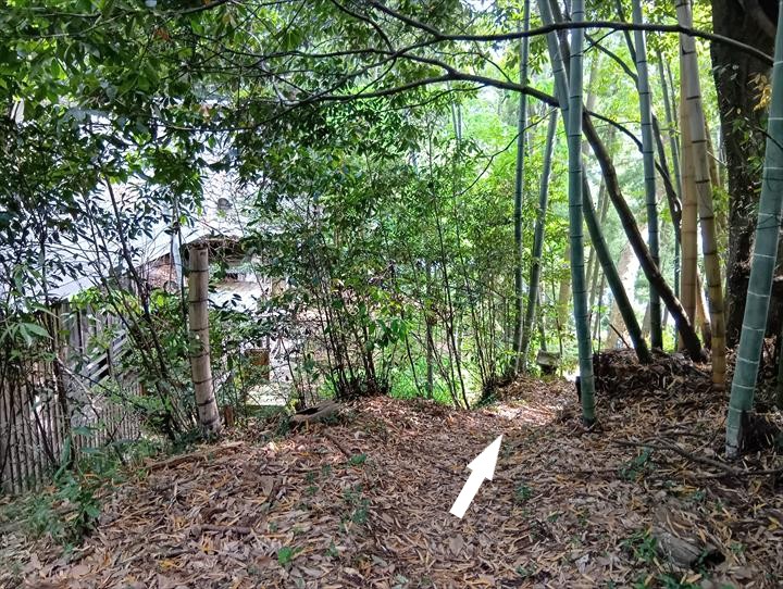 臼入山～道の駅ひがしちちぶ