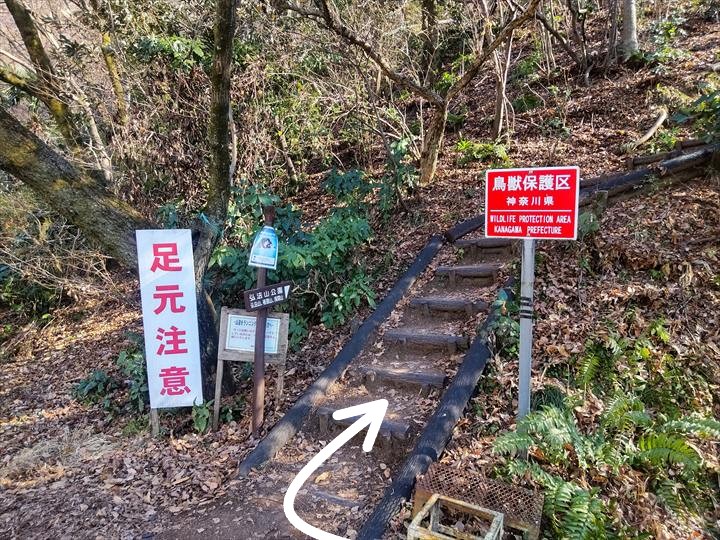 秦野駅～浅間山