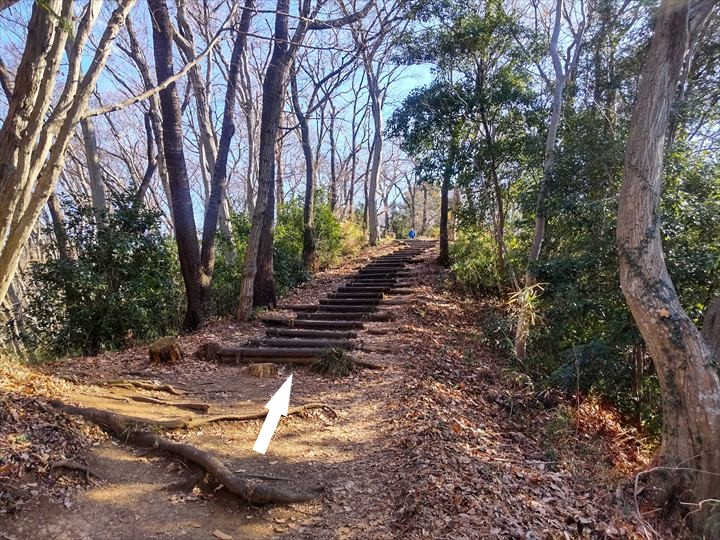 秦野駅～浅間山