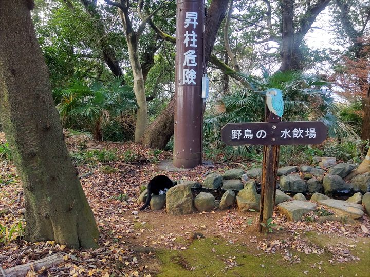 浅間山～弘法山
