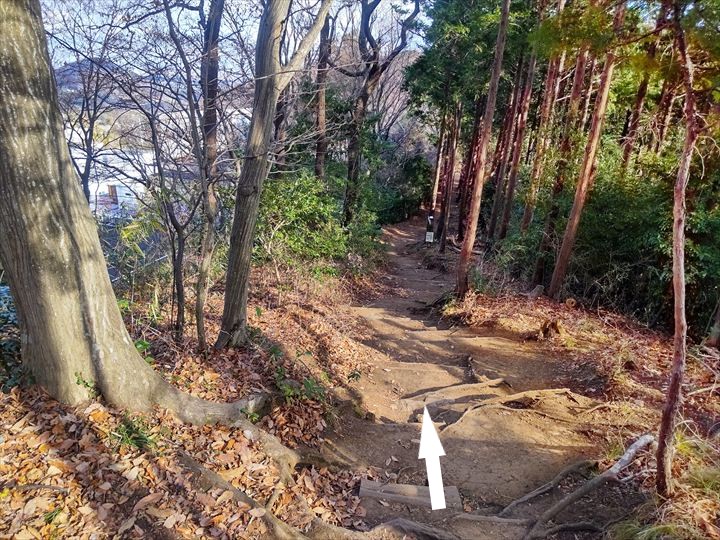 弘法山～吾妻山