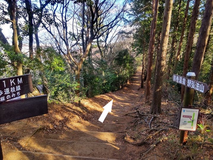 弘法山～吾妻山