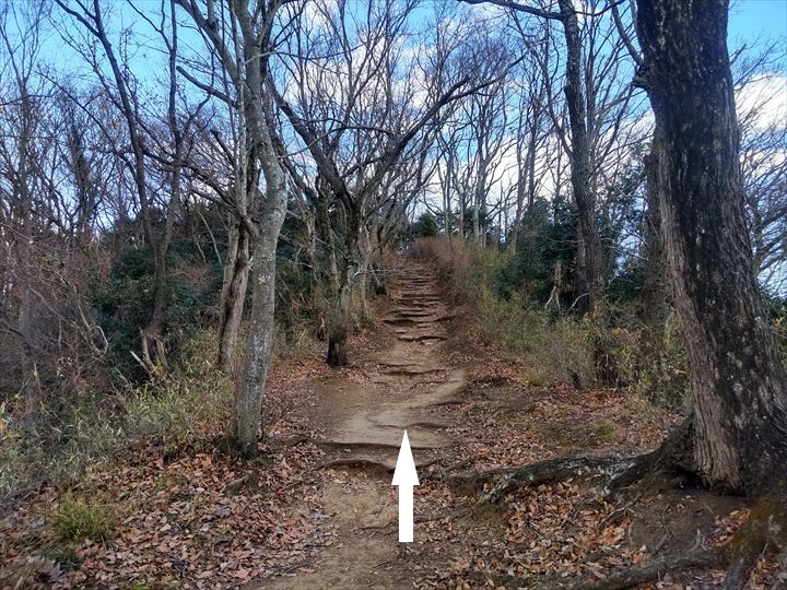 弘法山～吾妻山