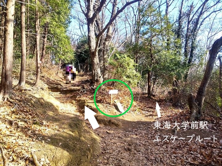 弘法山～吾妻山