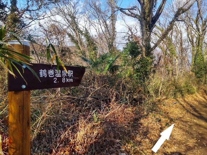 弘法山～吾妻山