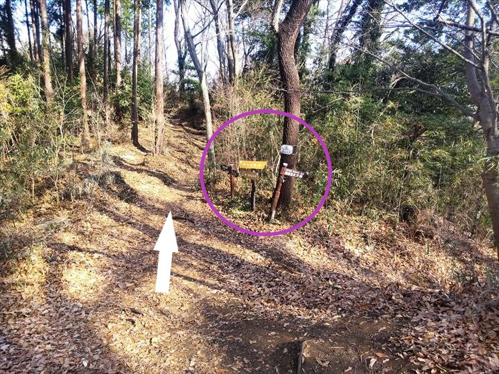 弘法山～吾妻山