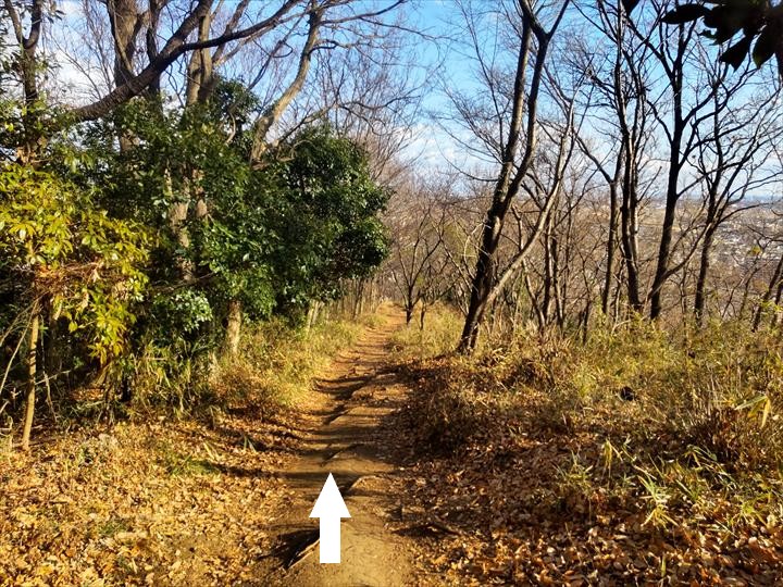 吾妻山～鶴巻温泉駅