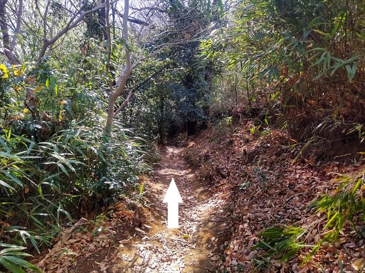 吾妻山～鶴巻温泉駅
