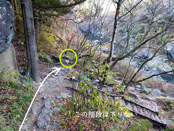 坂下登山口トイレ~お肉レストラン