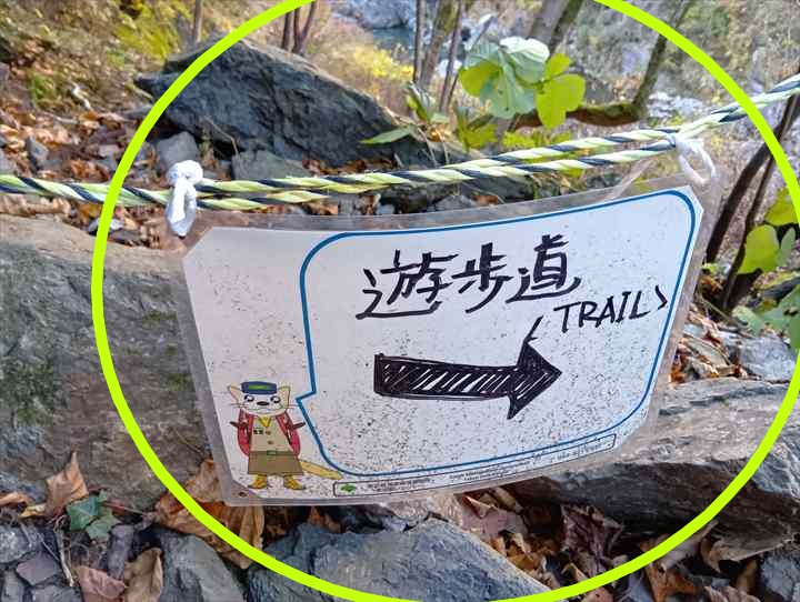 坂下登山口トイレ~お肉レストラン