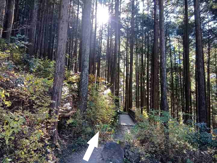 坂下登山口トイレ~お肉レストラン