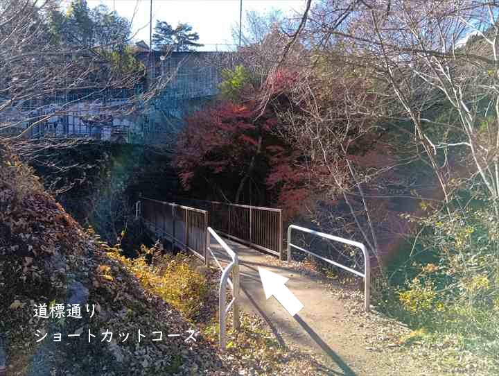 お肉レストラン~奥多摩駅(NO.21分岐)ショートカット