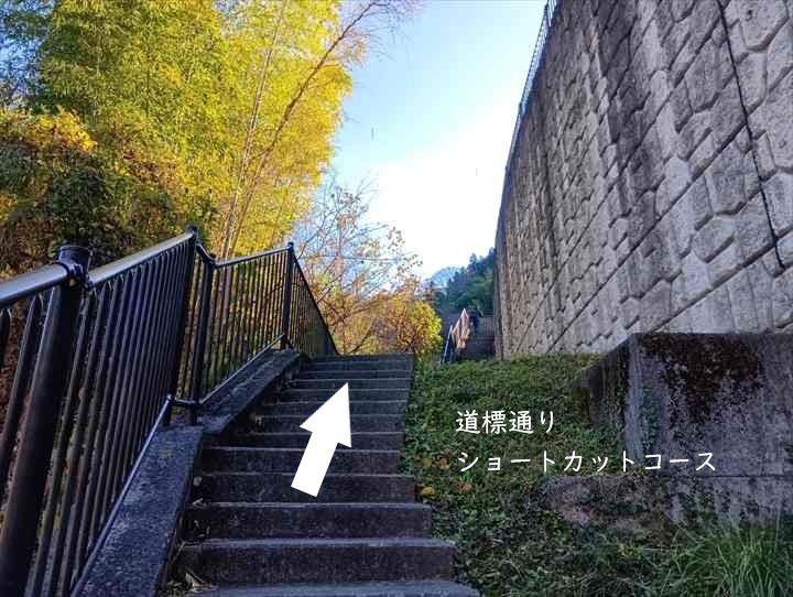 お肉レストラン~奥多摩駅(NO.21分岐)ショートカット
