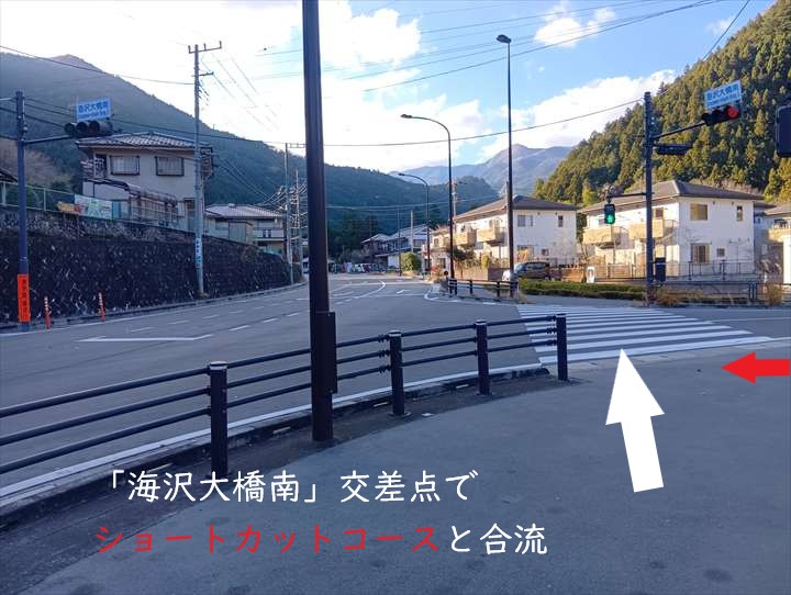 お肉レストラン~奥多摩駅(海沢大橋南)