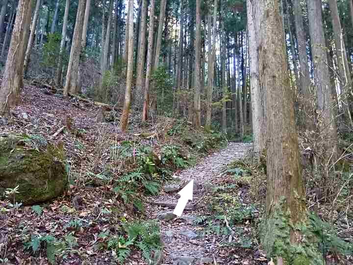 古里駅~坂下登山口トイレ