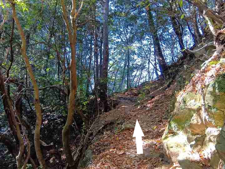 古里駅~坂下登山口トイレ