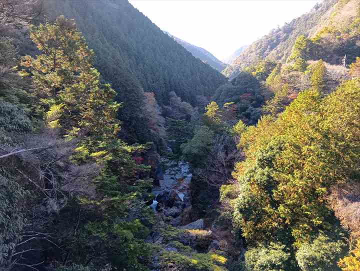 坂下登山口トイレ~お肉レストラン(雲仙橋)