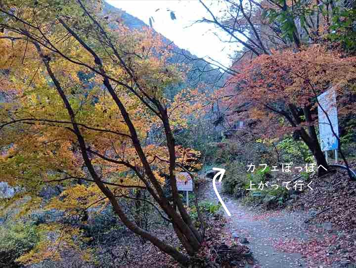 坂下登山口トイレ~お肉レストラン