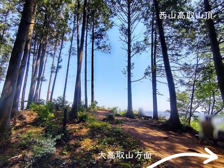 大高取山(P~西山高取)