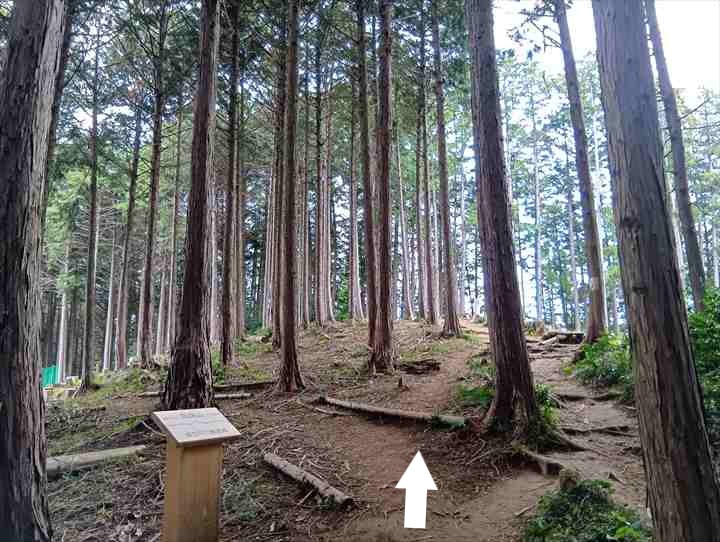 大高取山(西山高取~大高取山)