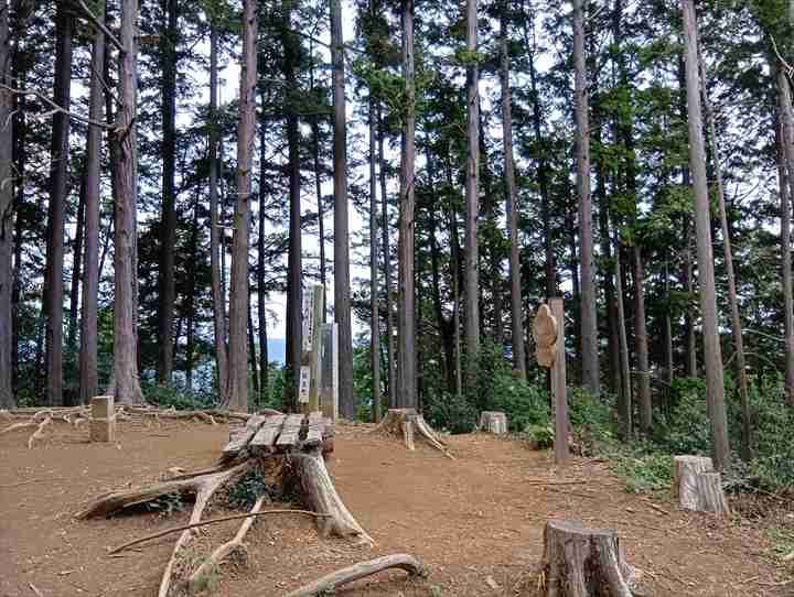 大高取山(西山高取~大高取山)