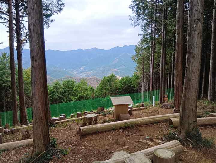 大高取山(西山高取~大高取山)