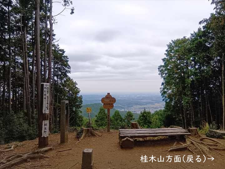 大高取山(大高取山~幕岩展望台)