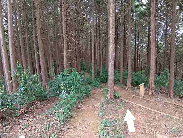 大高取山(大高取山~幕岩展望台)
