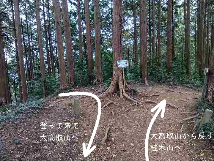 大高取山(大高取山~幕岩展望台)