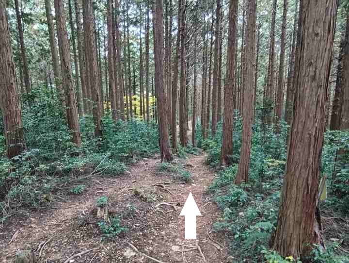 大高取山(大高取山~幕岩展望台)