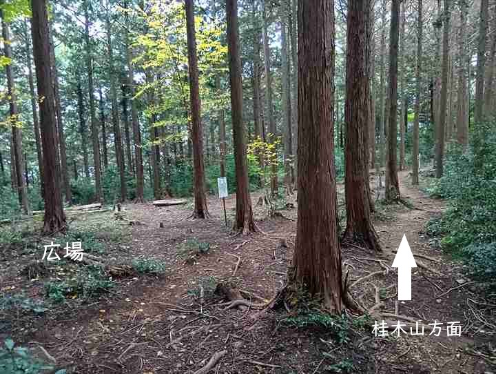 大高取山(大高取山~幕岩展望台)