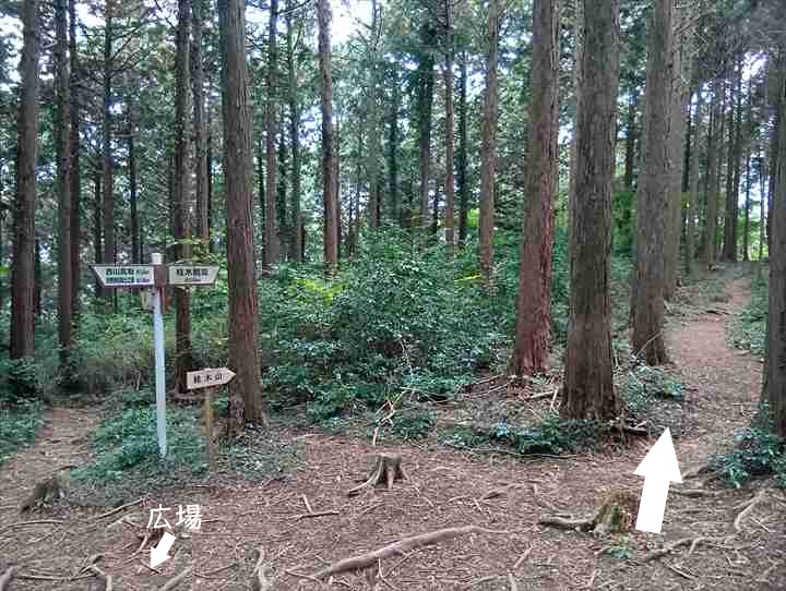 大高取山(大高取山~幕岩展望台)