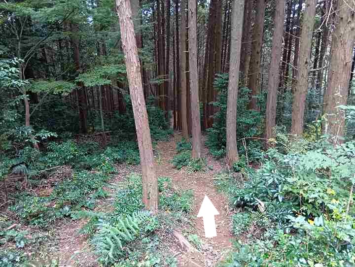 大高取山(大高取山~幕岩展望台)