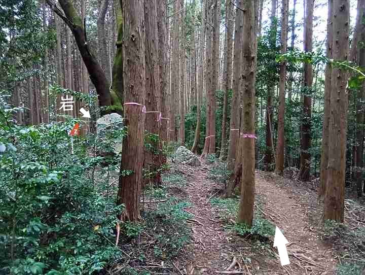 大高取山(大高取山~幕岩展望台)